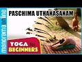 Paschima uthanasanam  yoga for beginners  health benefits  manorama online