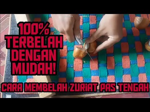 cara-cepat-memotong-dan-membelah-buah-zuriat