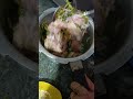 #mutton recipe