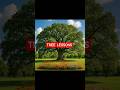 TREE LESSONS