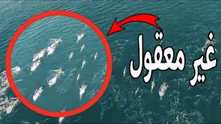 حورية البحر بين الحقيقة والخيال - تغرق الشباب في جنوب إفريقيا وترعب العمال في الزمبابوي (الجزء 2)