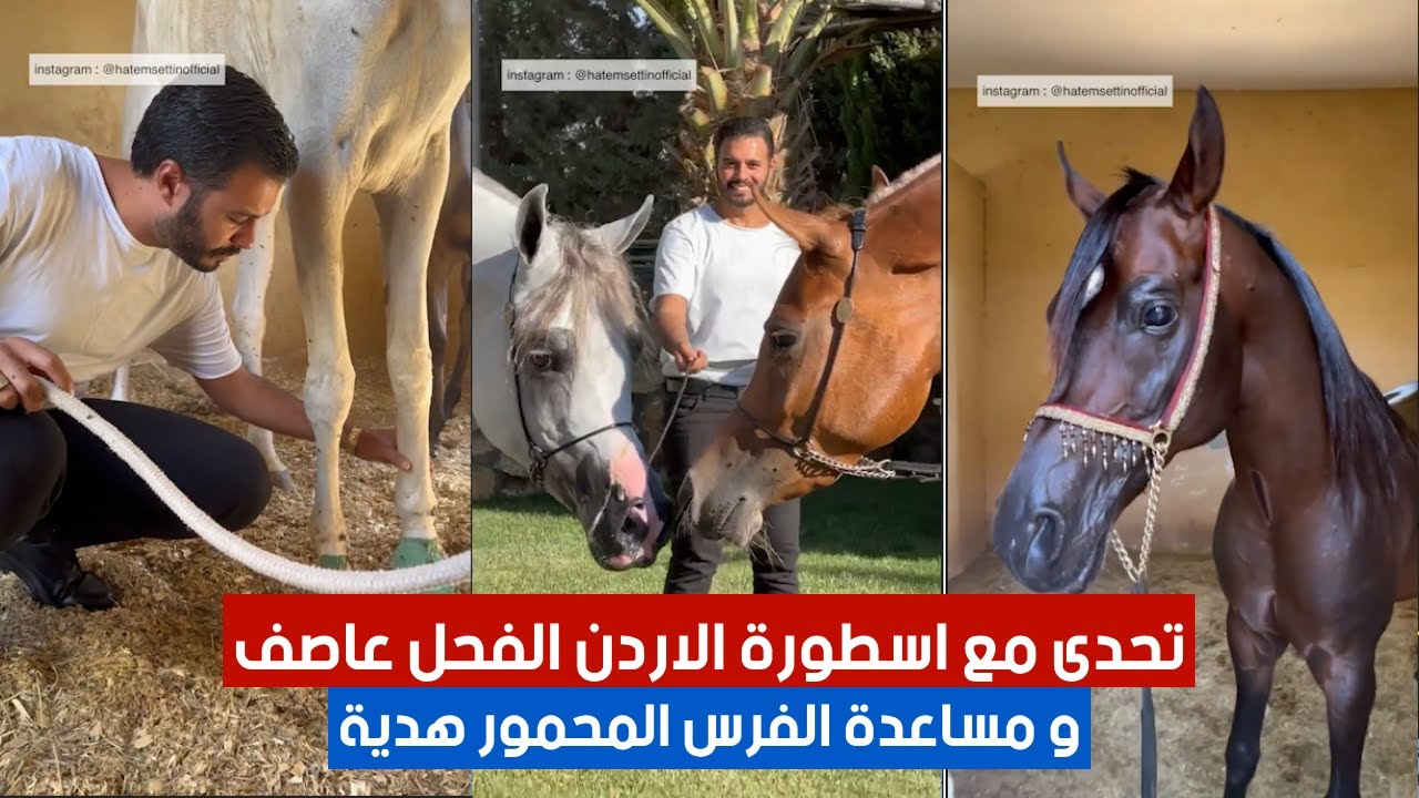 تحدى مع اسطورة الاردن الفحل عاصف 😲 و مساعدة الفرس المحمور هدية 😳 | #٦٠شو_مع_الدكتور_حاتم_ستين