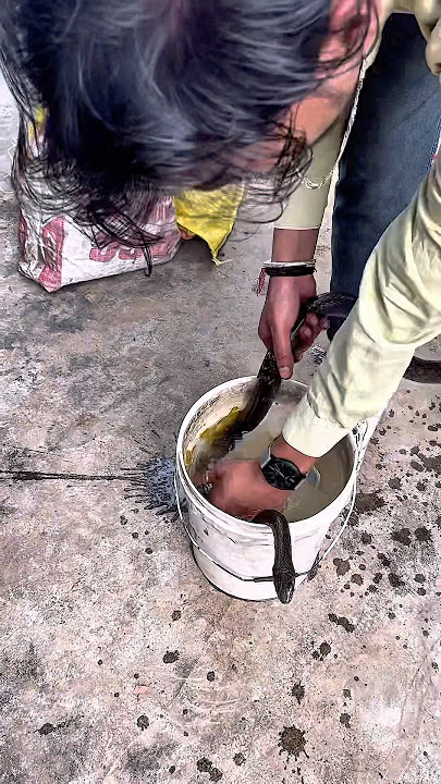 Sarp mitra or me 🐍 mini vlog Bhua bichhiya #bhuabichhiya #vlog #vlogger #explore