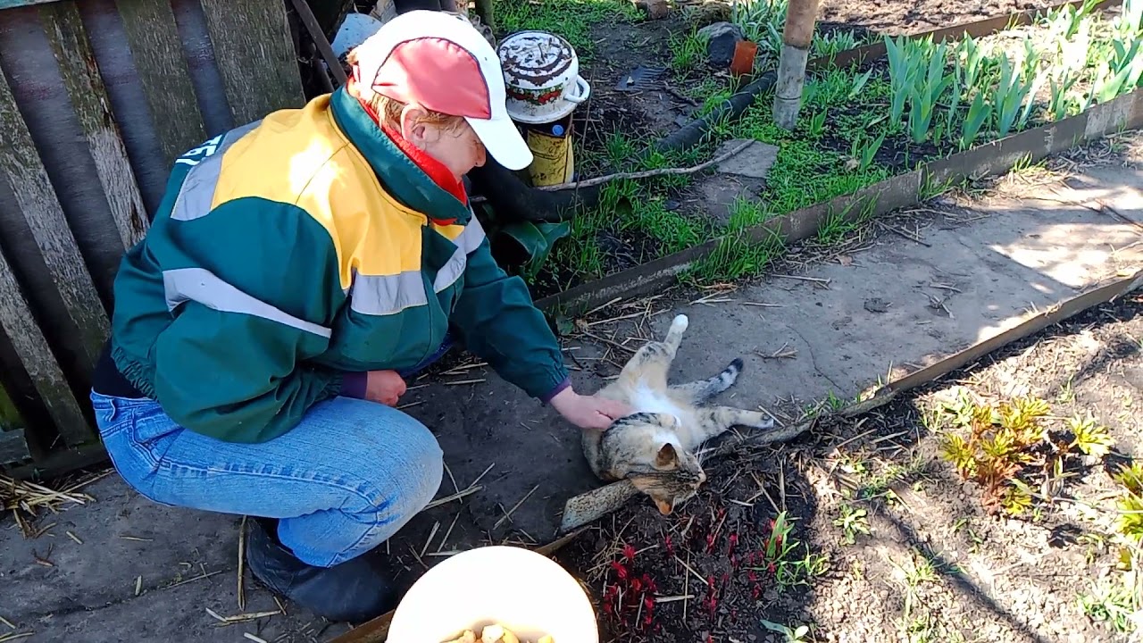 Лаки VID 20210422 103235