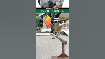 【スケボー図鑑】F/SオーバーKストール#skateboarding #スケボー #スケボー初心者 #スケートボード #スケートボード初心者