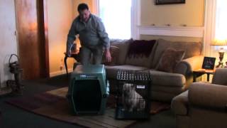 Dog Crate Comparison Metal vs Plastic.