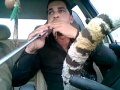 مهند حسن نصر مجوز 4