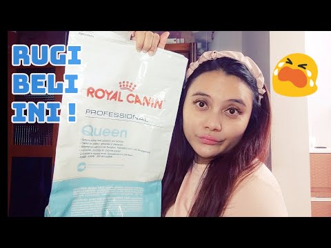 Makanan Kucing Hamil Menyusui, Royal Canin Queen, ga works apa works nih??