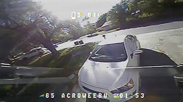 Savage bee test 2s ❤️