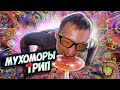 # 674  - Мухоморы трип. часть1