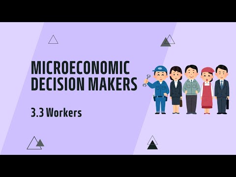 IGCSE Economics: Chapter 3.3 Workers (Updated for 2027 syllabus)