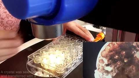 In vacuo X-ray data collection from graphene-wrapped protein crystals