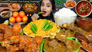 ASMR Eating Spicy Mutton Josh,Chicken Curry,Leg Piece,Biryani,Rice,Egg Big Bites ASMR Eating Mukbang