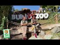 Celebremos la semana de la inclusión en Buin Zoo