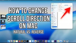 How to Change Scroll Direction on MacOS 26