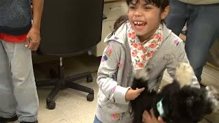 Young girl's wish comes true with service dog surprise