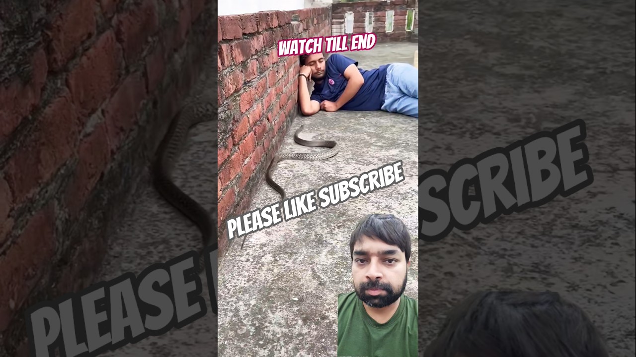 Man Sleeping… Snake Appears Suddenly 😴🐍💀 