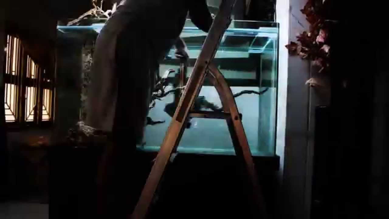 Copy of biotope scape idea