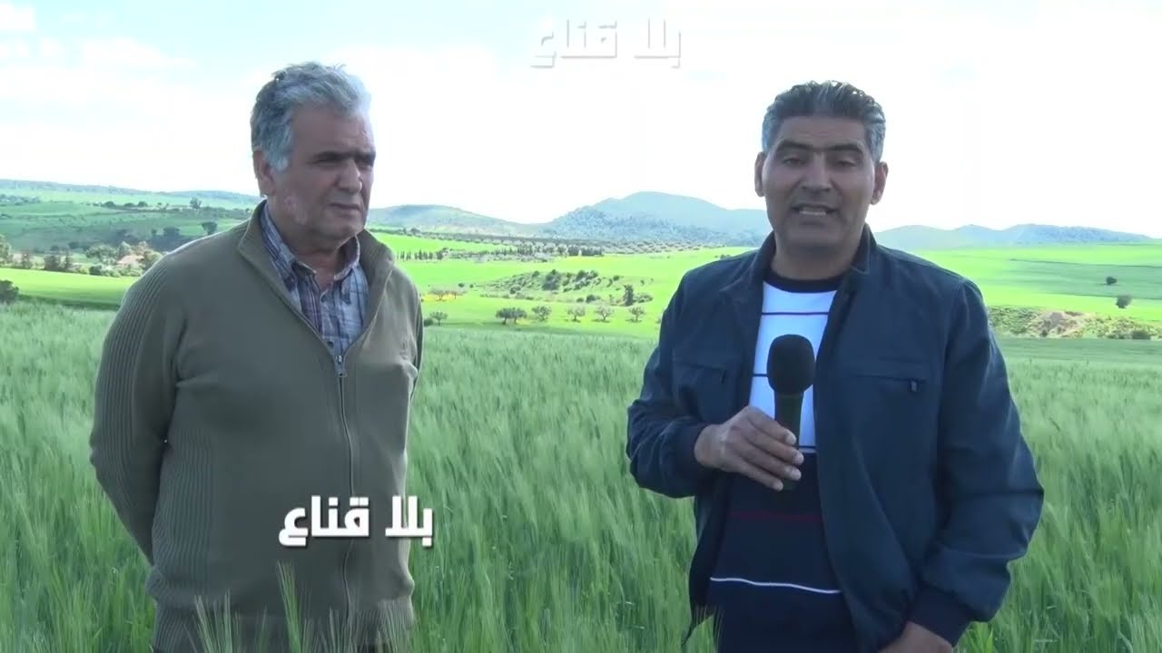 غرائب تونس  ..أرضها بور غير مزروعة ويبحثون على قمح أكرانيا..عنا صابة لكن مكينة الإحتكار تبتلع كل شيء