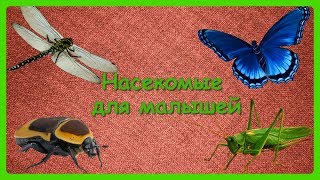 НАСЕКОМЫЕ ДЛЯ МАЛЫШЕЙ🐝Учим с детьми насекомых/Развивающий мультфильм НАСЕКОМЫЕ ДЛЯ МАЛЫШЕЙ🐝Учим с детьми насекомых/Развивающий мультфильм