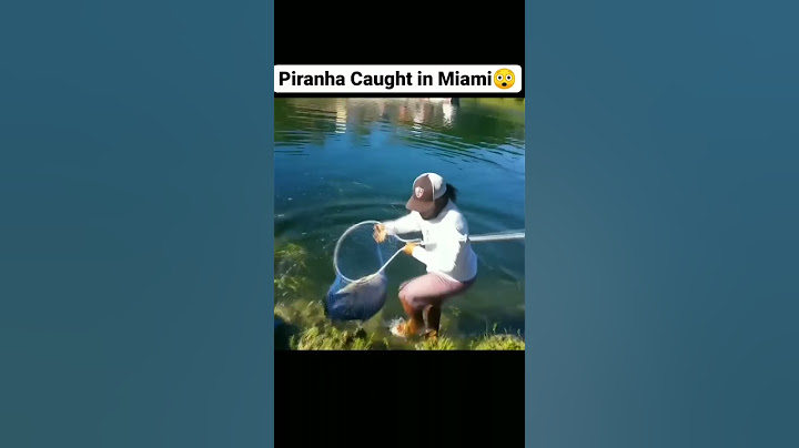 PIRANHA CAUGHT IN MIAMI