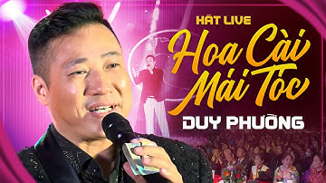 Hoa Cài Mái Tóc - Duy Phường