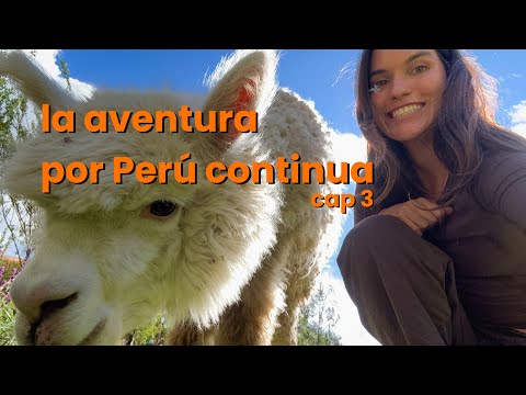 Surviving Altitude Sickness in Cusco + Hiking the Amazon Rainforest in Peru Chapter 3