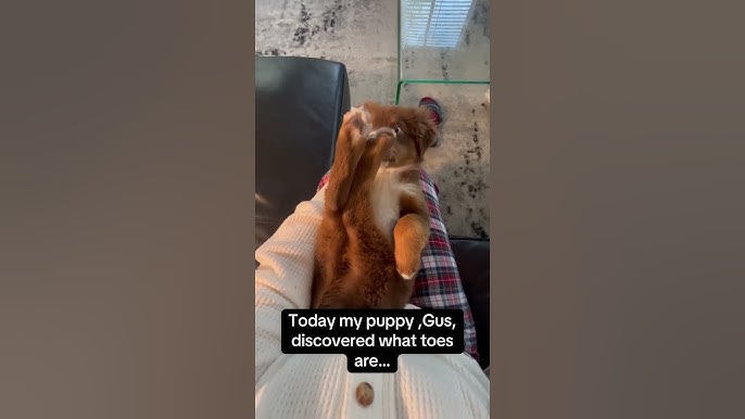 A discovery! 😭 - YouTube