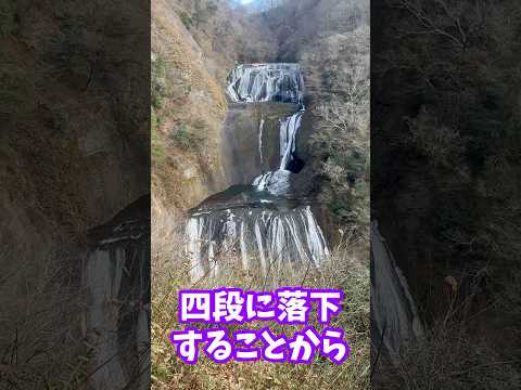 【日本三名爆】茨城県大子町袋田の滝！#日本三名爆#茨城県大子町#滝
