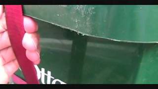 Raccoons Eat Green Bin!
