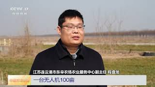 [中国三农报道]春耕中国 江苏连云港 无人机喷洒农药 精准高效 | 农业致富经 Agriculture And Farming