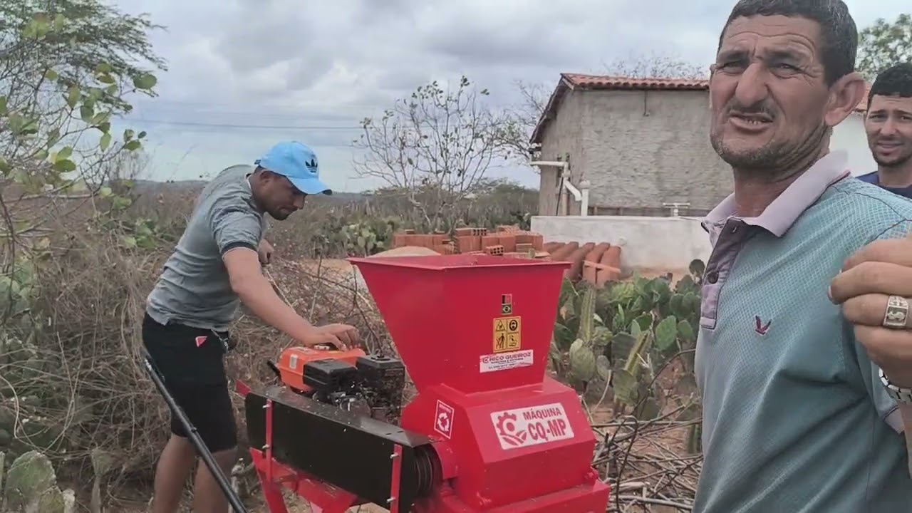 Benedito moendo maniçoba pra seu gado 