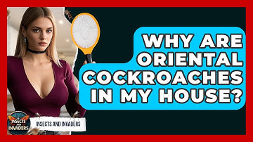 Why Are Oriental Cockroaches In My House? - Insects and Invaders
