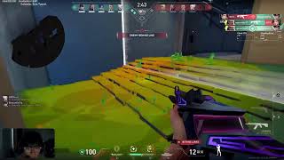 “VALORANT BUT I’M ONLY QUEUING WITH KITTENS 😼🐾 (DON’T JOIN IF TOXIC)”