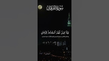 #اكسبلور #المصحف #راحة_نفسية #تلاوات_خاشعة #لايك #تلاوات #حالات_واتس #qurantilawat #quranic #trend