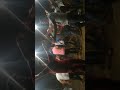 اعراس شعبة العامر 