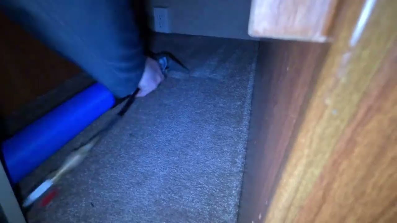 Professional RV Carpet & Upholstery Cleaning | Before & After