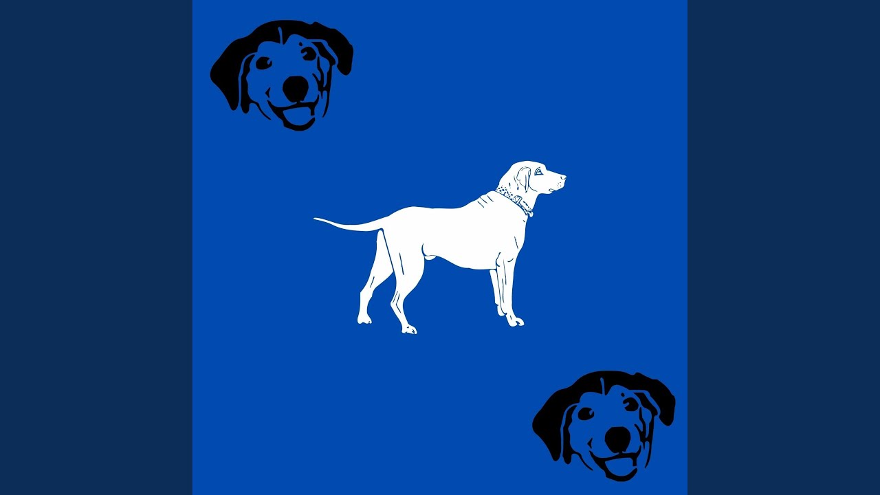 Jazz Organ Soundtrack for Pure Breds