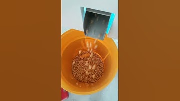 Best Corn Small Color Sorter Manufacturer Supplier Price In Brazil Turkey Kazakhstan Mexico Colombia