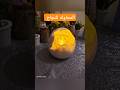 أعملى الديكور ده من غير قوالب بالجبس والماء اكسبلور Diy افكار Craft 