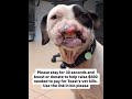 PLEASE DONT SCROLL WITHOUT DONATING ANY AMOUNT TO HELP 🙏DONATION LINK IN BIO