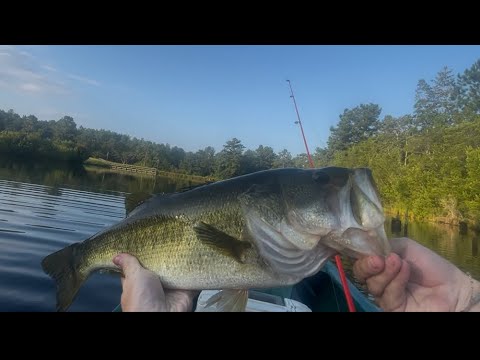 catching BIG BASS in a LOADED secret lake!!