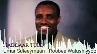 Best Oromo music 🎶 Umar Suleeymaan - Roobee Walashiyoo 🎶 @Haddaar Tube