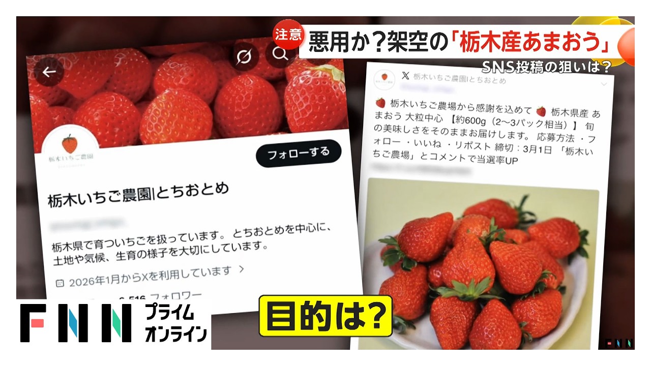 福岡のいちご「あまおう」に“栃木県産” プレゼントのSNS投稿　商標登録のJA全農「他県産はない」（2026年03月09日）