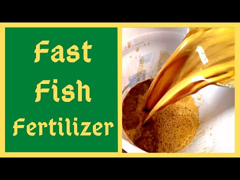 Video: Cum se utilizează hidrolizatul de pește?