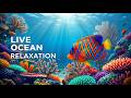 LIVE Tropical Fish & Coral Reef Relaxation 🌊 Peaceful Ocean Sounds for Sleep, Study & Stress Relief