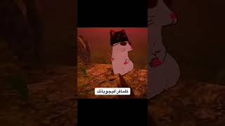 متقولش بعدك مش فارق سمعها