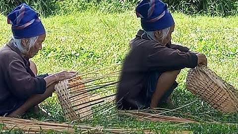 Nyob zoo os los saib nyaaj plab hiab ze qaib os 24/8/25