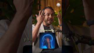 Why Your Brainstem Controls Life Itself Ft. Sid Warrier