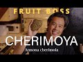 This Fruit Changed My Life Cherimoya Annona Cherimola Custard Apple 
